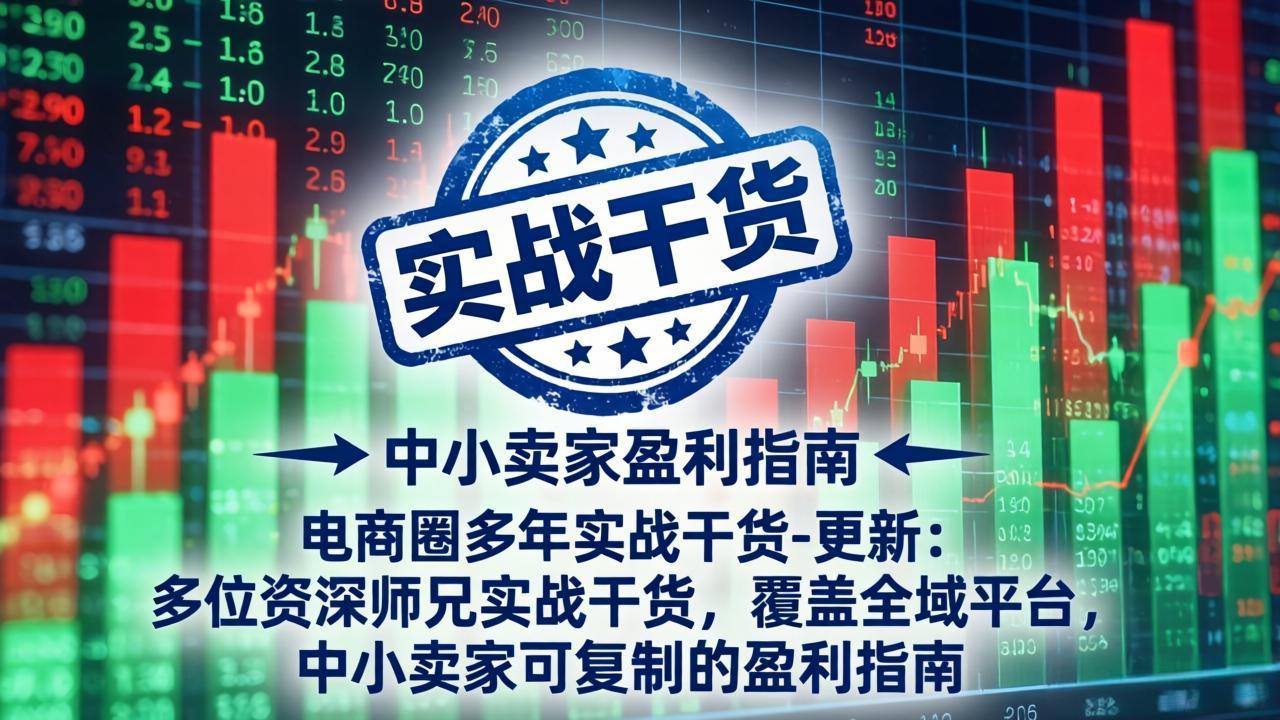 电商圈多年实战干货-更新4月：多位资深师兄实战干货，覆盖全域平台，中小卖家可复制的盈利指南-悟思笔记，一个低调的学习营。