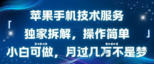苹果手机技术服务，独家拆解，操作简单，小白可做，月过1W不是梦-悟思笔记，一个低调的学习营。