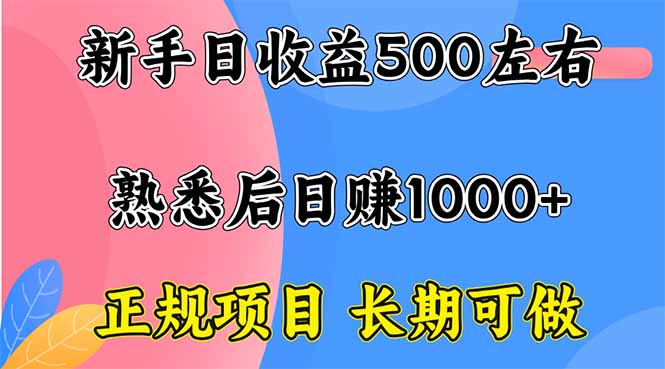 新手日收益500+ 正规项目 长期可做-悟思笔记，一个低调的学习营。