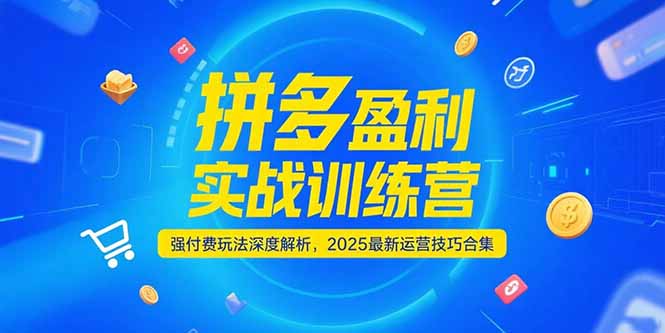 拼多多盈利实战训练营，强付费玩法深度解析，2025运营技巧合集-更新6月-悟思笔记，一个低调的学习营。