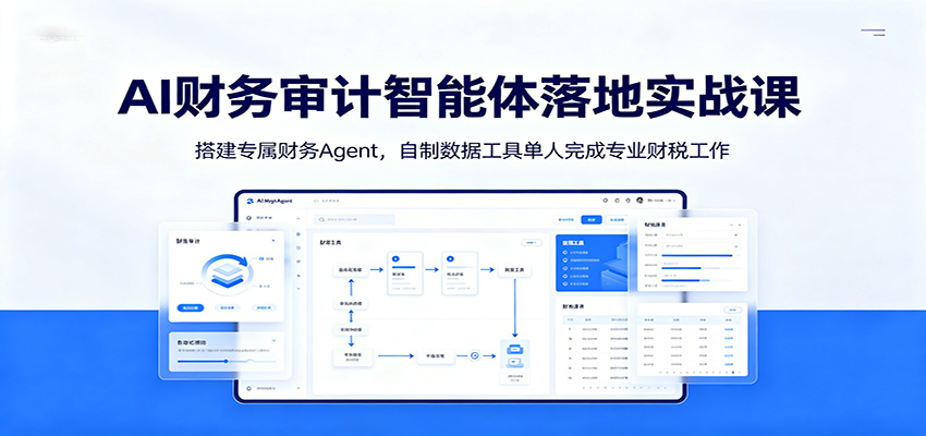 AI财务审计智能体落地实战课：搭建专属财务Agent，自制数据工具单人完成专业财税工作-悟思笔记，一个低调的学习营。