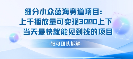 小众蓝海赛道项目：当天变现1k+适合新手操作 +适合长期玩-悟思笔记，一个低调的学习营。