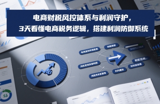 电商财税风控体系与利润守护，3天看懂电商税务逻辑，搭建利润防御系统-悟思笔记，一个低调的学习营。