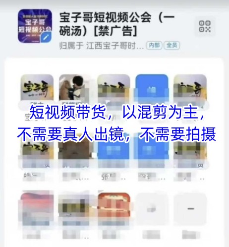 宝子哥头部团队短视频带货，以混剪为主，不需要真人出镜，不需要拍摄【更新】-悟思笔记，一个低调的学习营。