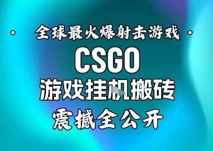 【年底大揭秘】基于全球最火爆的射击CSGO游戏挂G搬砖，日入5张+，震撼公开-悟思笔记，一个低调的学习营。