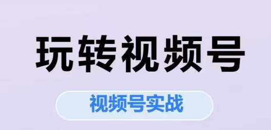 玩转视频号，视频号实战系列课-悟思笔记，一个低调的学习营。