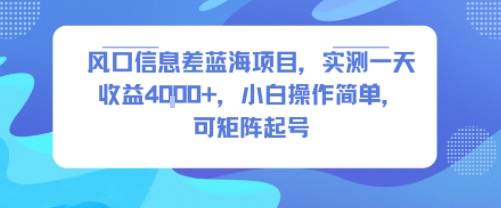 风口信息差蓝海项目，实测一天收益4k+，小白操作简单，可矩阵起号-悟思笔记，一个低调的学习营。