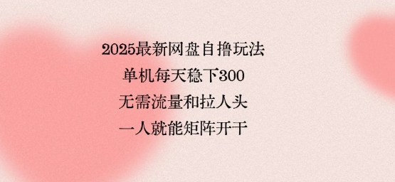 2025最新网盘自撸玩法，单机每天稳下3张，无需流量和拉人头，一个人就可轻松矩阵，全网独一份【揭秘】-悟思笔记，一个低调的学习营。