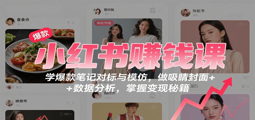 小红书赚钱课：学爆款笔记对标与模仿，做吸睛封面 + 数据分析，掌握变现秘籍-悟思笔记，一个低调的学习营。