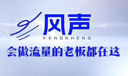 董十一·风声短视频AI获客年度会员-悟思笔记，一个低调的学习营。