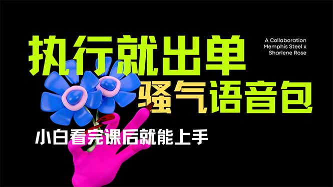 爆火全网的开车导航骚气语音包,只要执行就出单，小白看完课程就能实操…-悟思笔记，一个低调的学习营。