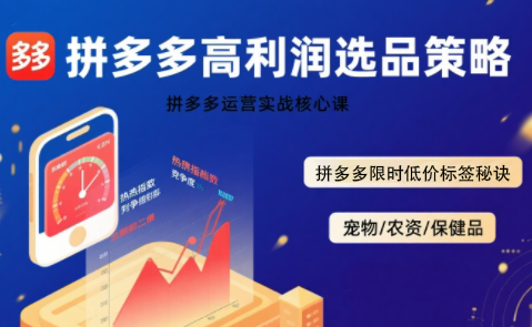 久号老师·拼多多选品暴利技术实战课-悟思笔记，一个低调的学习营。