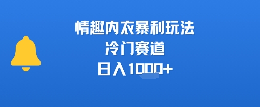 情趣内衣暴利玩法，冷门赛道，日入1k+-悟思笔记，一个低调的学习营。