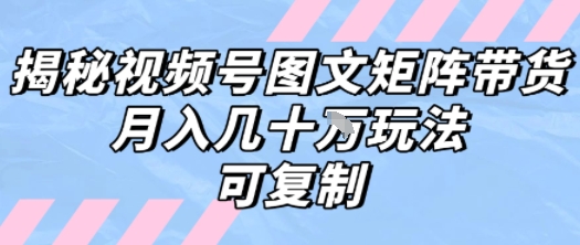 解密视频号图文矩阵带货，月入几个W的打法，可复制-悟思笔记，一个低调的学习营。