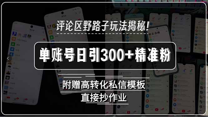评论区野路子玩法揭秘！单账号日引300+精准粉，附赠高转化私信模板，直…-悟思笔记，一个低调的学习营。